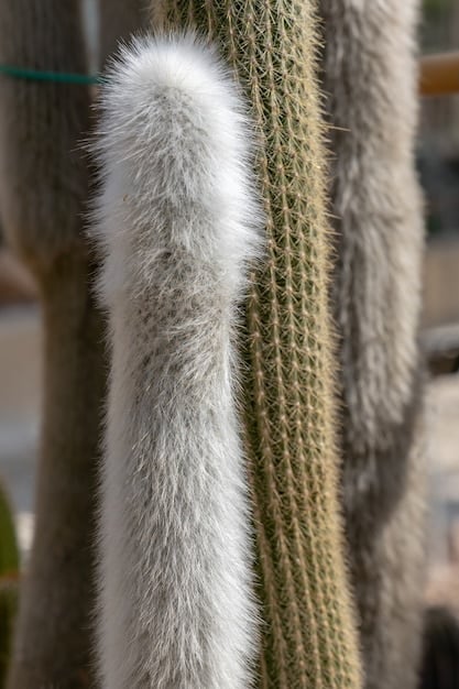 An image showcasing a variety of luxurious, comfortable fabrics like silk, cashmere, and high-quality knits. Include swatches or garments made from these materials, emphasizing their softness, drape, and overall appeal.